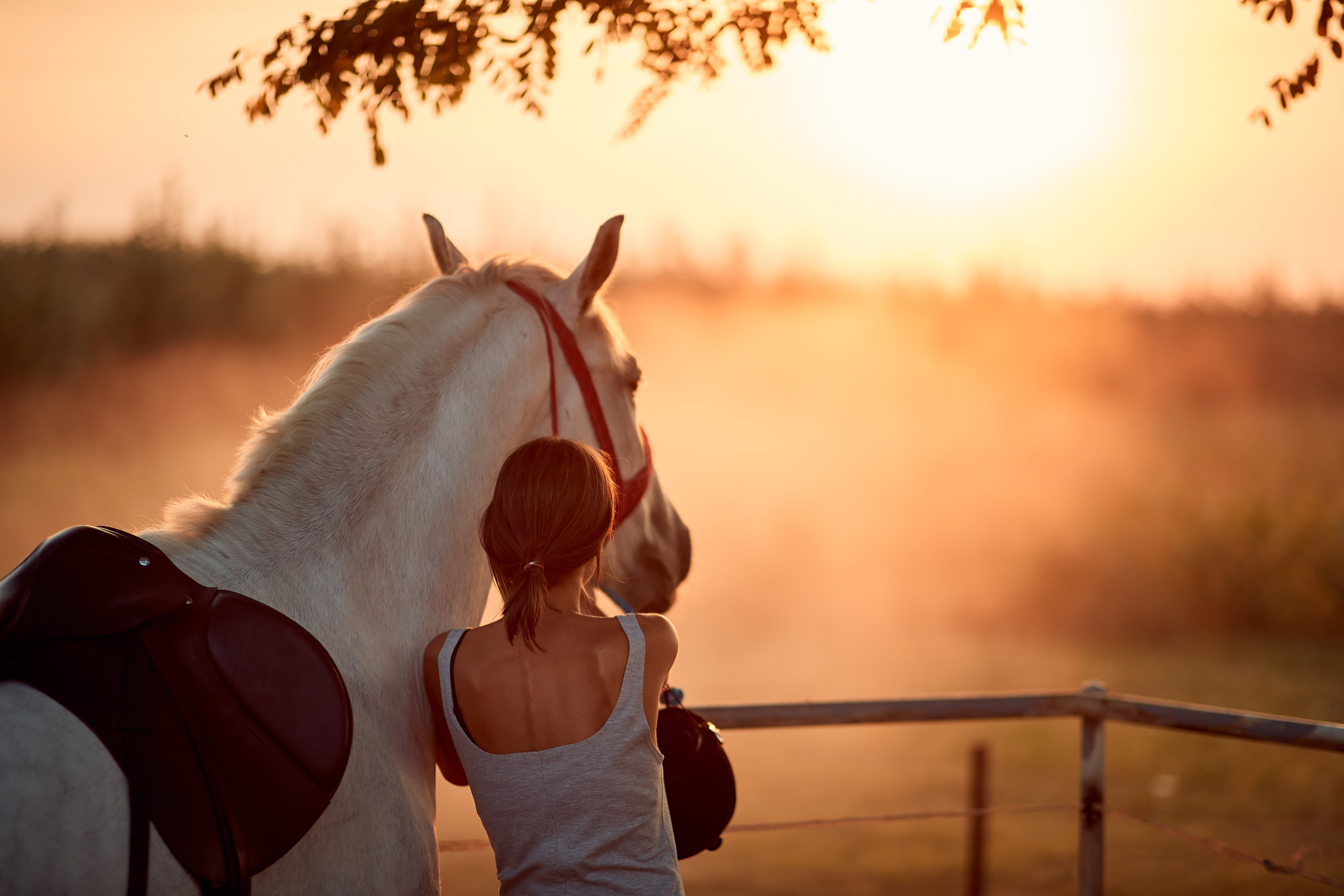 woman with horse